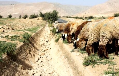 تشدید کم آبی ناشی از تغییرات اقلیمی در عراق
