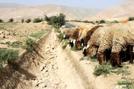 تشدید کم آبی ناشی از تغییرات اقلیمی در عراق