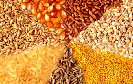 قصد داریم در ازای صادرات شیرخشک و دام زنده نهاده وارد کنیم