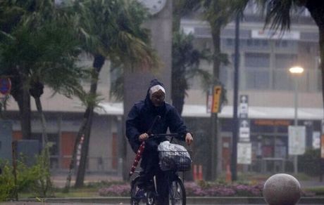 ۶۰ مصدوم بر اثر طوفان نان‌مادول در ژاپن