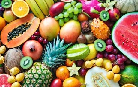 افزایش ۱.۵ برابری تولید میوه و کاهش قیمت