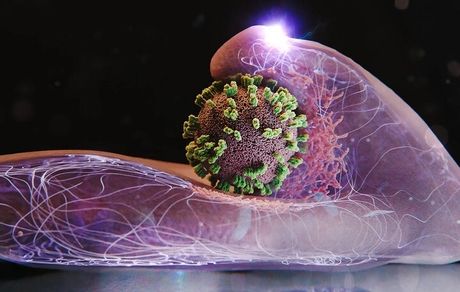 مهار کامل موج شدید آنفلوآنزا در اغلب استان‌ها تا اواسط هفته جاری 