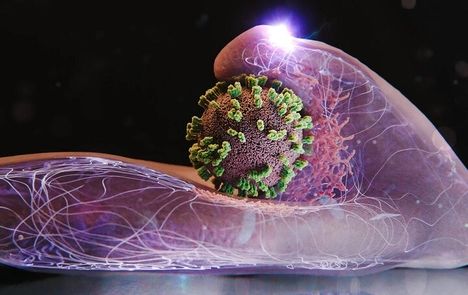 مهار کامل موج شدید آنفلوآنزا در اغلب استان‌ها تا اواسط هفته جاری 