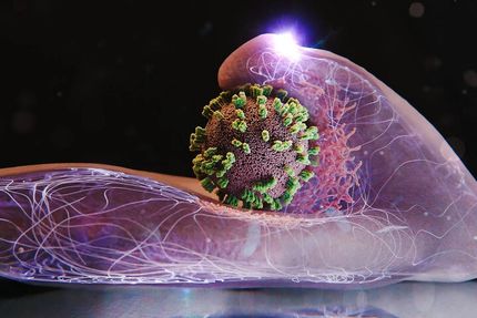 مهار کامل موج شدید آنفلوآنزا در اغلب استان‌ها تا اواسط هفته جاری 