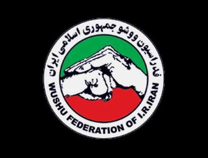 ثبت نام پنج کاندیدا برای انتخابات فدراسیون ووشو