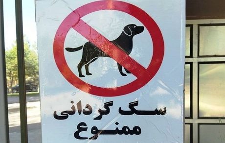 ممنوعیت سگ گردانی این بار در زنجان