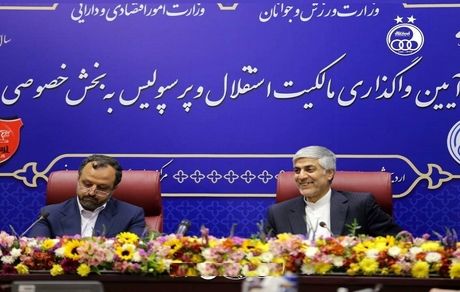 وزیر ورزش: ۵ درصد سرخابی‌ها به پیشکسوتان واگذار خواهدشد