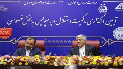 وزیر ورزش: ۵ درصد سرخابی‌ها به پیشکسوتان واگذار خواهدشد