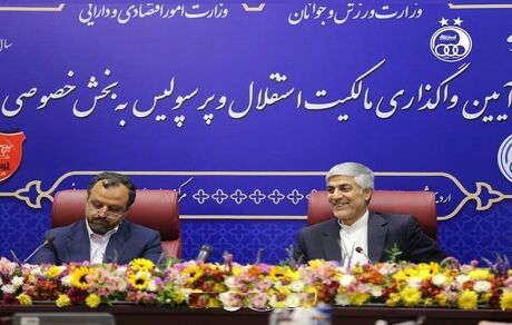 وزیر ورزش: ۵ درصد سرخابی‌ها به پیشکسوتان واگذار خواهدشد