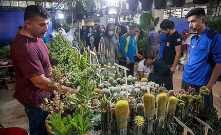 سیزدهمین نمایشگاه سراسری «گل و گیاه» در کرمانشاه از امروز آغاز می‌شود