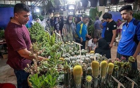 سیزدهمین نمایشگاه سراسری «گل و گیاه» در کرمانشاه از امروز آغاز می‌شود