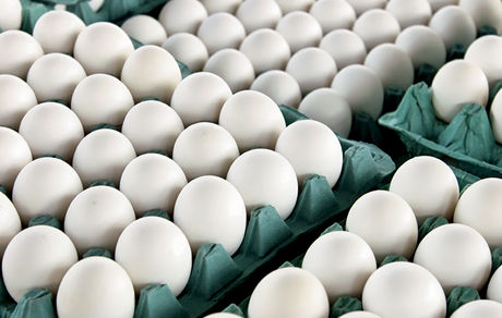 تعادل بازار تخم مرغ طی یک هفته آینده