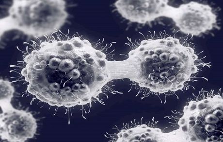 
سلولی که می تواند درمان سرطان را متحول کند
