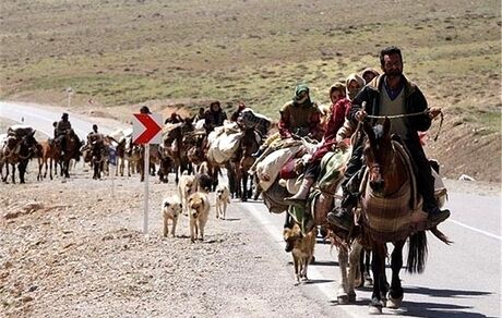 رصد و پایش دام‌های عشایر، روستایی و صنعتی/ ریشه‌کنی ۵ بیماری مهم دامی