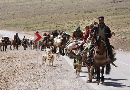 رصد و پایش دام‌های عشایر، روستایی و صنعتی/ ریشه‌کنی ۵ بیماری مهم دامی