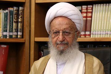 آیت‌الله مکارم شیرازی: کسب درآمد از همستر کامبت جایز نیست