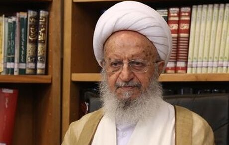 آیت‌الله مکارم شیرازی: کسب درآمد از همستر کامبت جایز نیست