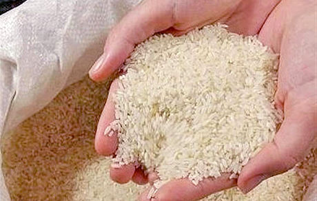 صدور مجوز توزیع ۱۵۰ هزار تن برنج در بازار