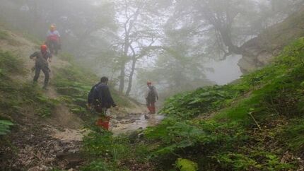 گردشگران مفقودشده در جنگل مینودشت پیدا شدند