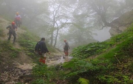 گردشگران مفقودشده در جنگل مینودشت پیدا شدند