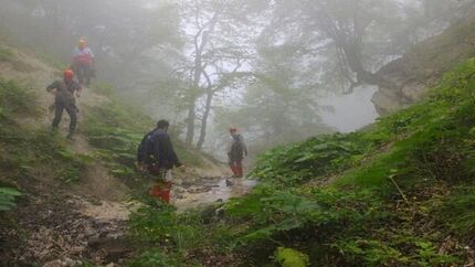 گردشگران مفقودشده در جنگل مینودشت پیدا شدند