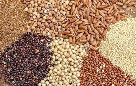 ۴۵ درصد از نهاده‌های دامی در «بازار سیاه» عرضه می‌شود!