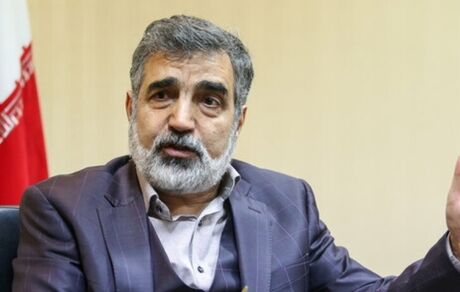 کمالوندی: لازمه برقراری مجدد نظام راستی آزمائی اجرای تعهدات طرف‌های برجام است