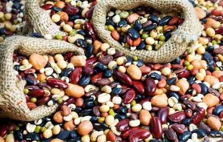 صادرات حبوبات از سر گرفته شد