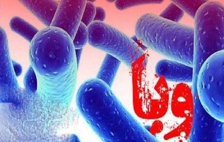 افزایش تعداد مبتلایان وبا در استان کردستان به ۳۹ نفر