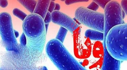 افزایش تعداد مبتلایان وبا در استان کردستان به ۳۹ نفر