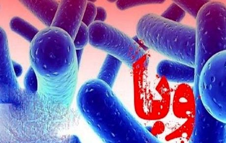 افزایش تعداد مبتلایان وبا در استان کردستان به ۳۹ نفر