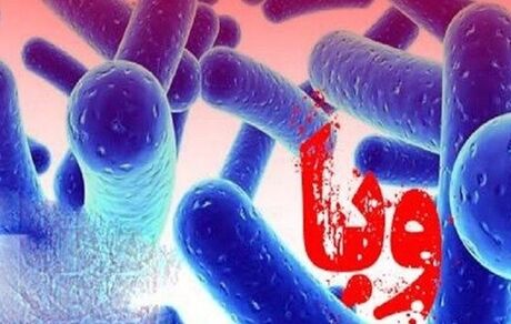 افزایش تعداد مبتلایان وبا در استان کردستان به ۳۹ نفر