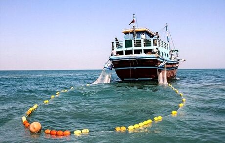  صید ۵۰۲ هزار تن آبزی در آب‌های شمال و جنوب کشور