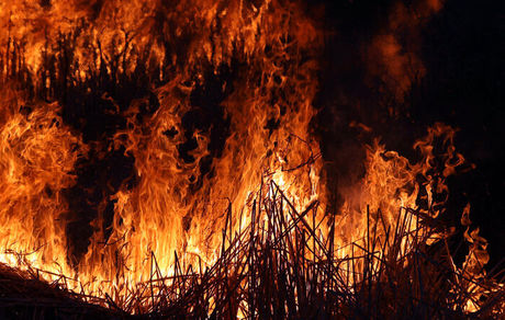 احتمال آتش سوزی در جنگل‌ها + اطلاعیه محیط زیست مازندران