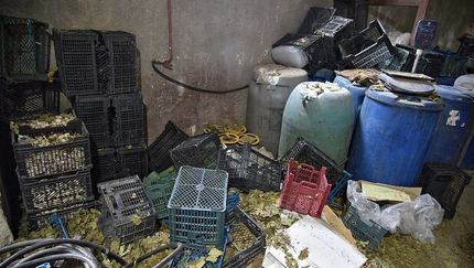 کشف ۳ کارگاه خانگی ساخت مشروبات الکلی در گلوگاه استان مازندران