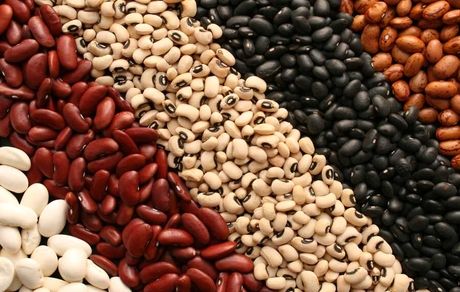 تولید ۸۵ درصد نیاز حبوبات کشور