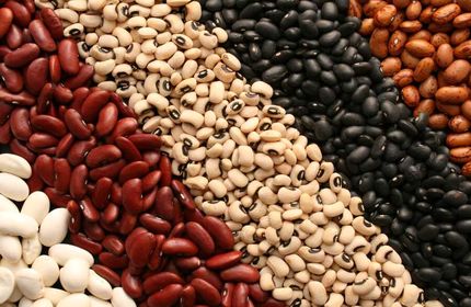 تولید ۸۵ درصد نیاز حبوبات کشور