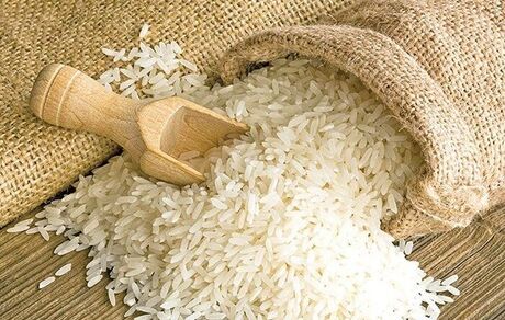 ممنوعیت دوباره واردات برنج