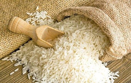 ممنوعیت دوباره واردات برنج