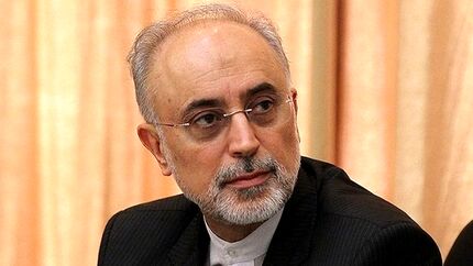 رییس سازمان انرژی اتمی: سردار سلیمانی مذاکره‌کننده‌ای بسیار هوشیار بود