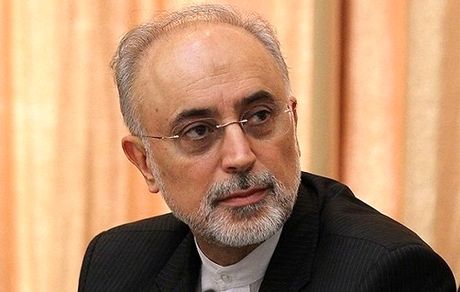 رییس سازمان انرژی اتمی: سردار سلیمانی مذاکره‌کننده‌ای بسیار هوشیار بود