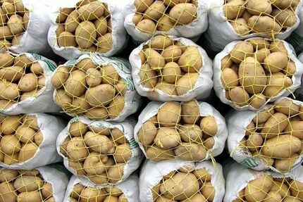 ذخیره‌سازی‌ مناسب سیب‌زمینی مورد نیاز بازار/ نیازی به واردات نیست