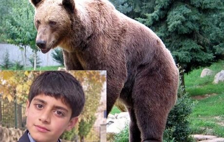 جان‌باختن نوجوان ۱۴ ساله در حمله خرس