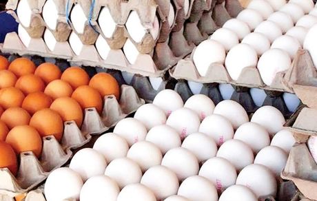اعلام قیمت جدید تخم مرغ در میادین میوه و تره بار