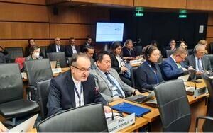 غائبی: تداوم مقابله ایران با قاچاق موادمخدر مستلزم رفع تحریمها است