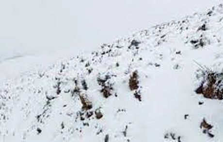 محور جدید هشتگرد-طالقان بدلیل برف بسته شد