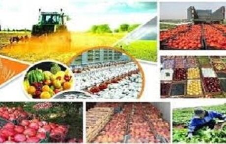 تورم تولیدکننده محصولات کشاورزی و دامداری بالاتر رفت