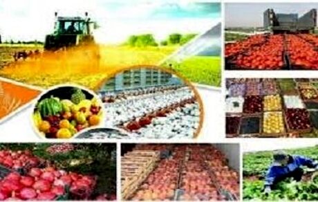 تورم تولیدکننده محصولات کشاورزی و دامداری بالاتر رفت