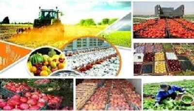 تورم تولیدکننده محصولات کشاورزی و دامداری بالاتر رفت