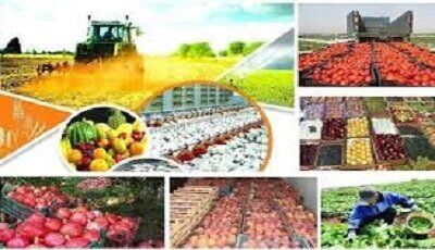 تورم تولیدکننده محصولات کشاورزی و دامداری بالاتر رفت